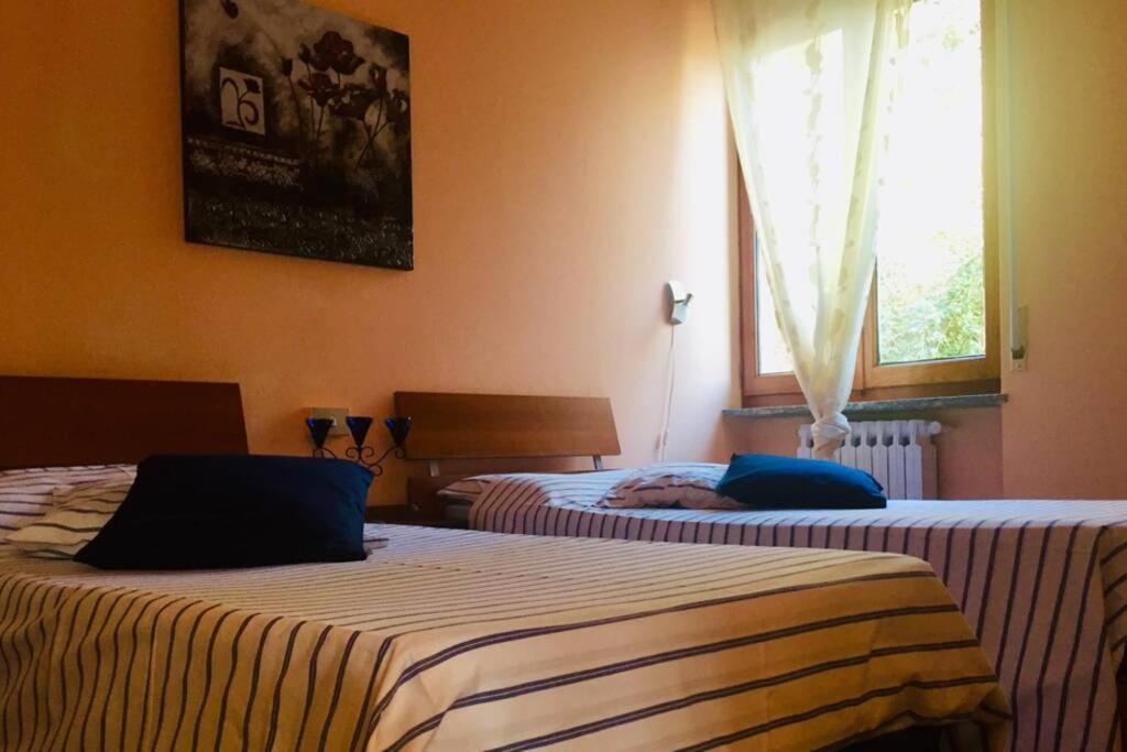 Appartamento Il Girasole Cremia Lago Di Como エクステリア 写真